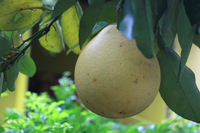 Touring in Yuanshan, Yilan - A LOHAS Trip to the Town of Water