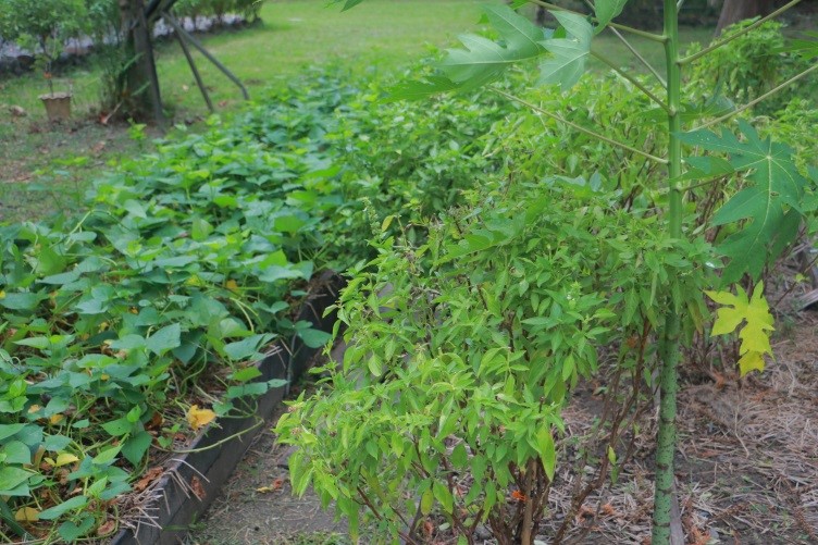 Touring in Yuanshan, Yilan - A LOHAS Trip to the Town of Water