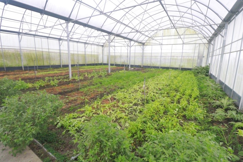 Having fun in Sanshing and Dongshan Townships, Yilan County