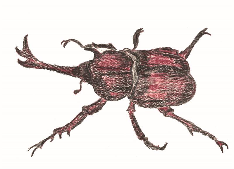 Zhao Men Agri-tourism Area