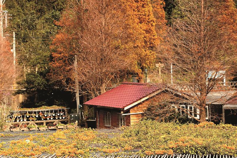 Zhao Men Agri-tourism Area