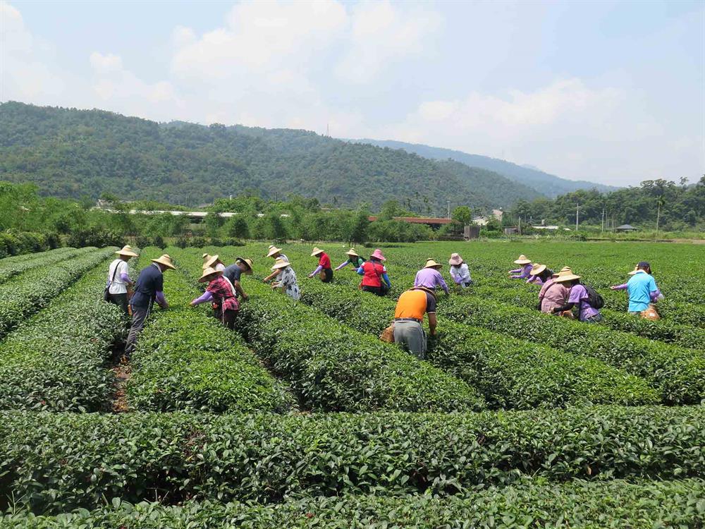 中山レジャー農業エリアでの1日旅行