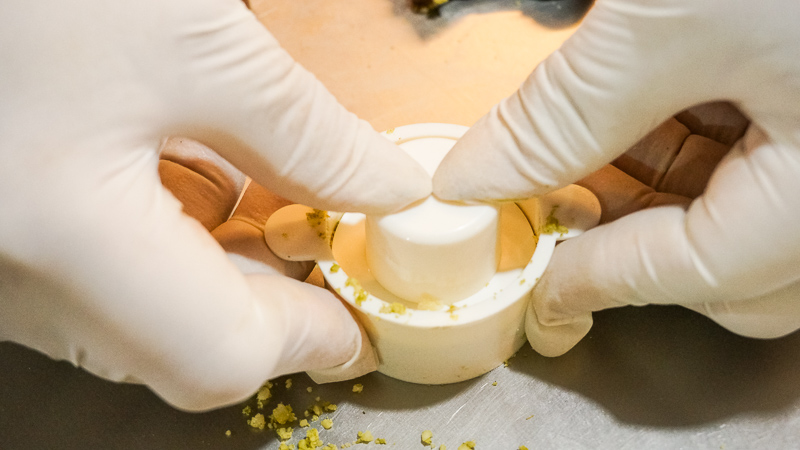 中山レジャー農業エリアでの1日旅行