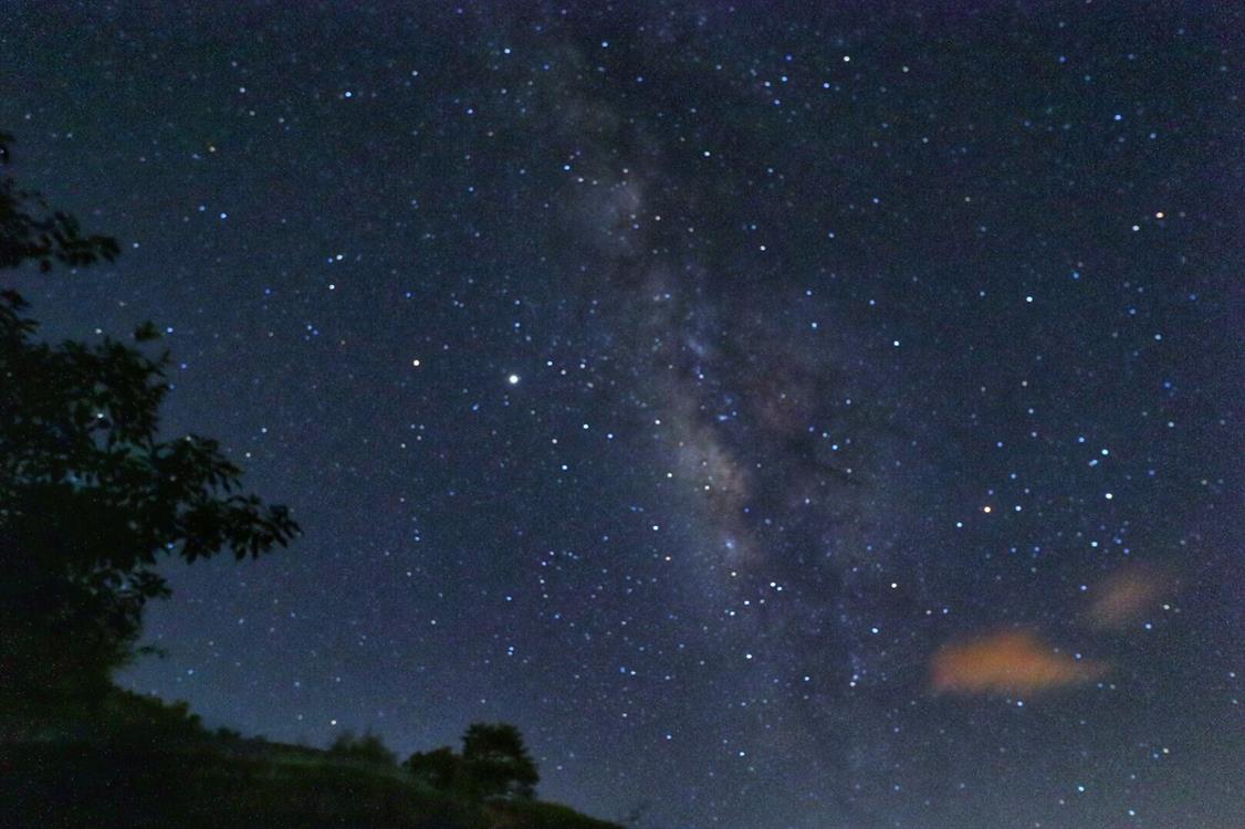 漫遊金針花• 夏夜螢光六十石山