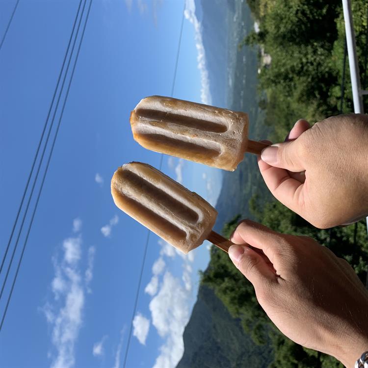 漫遊金針花• 夏夜螢光六十石山