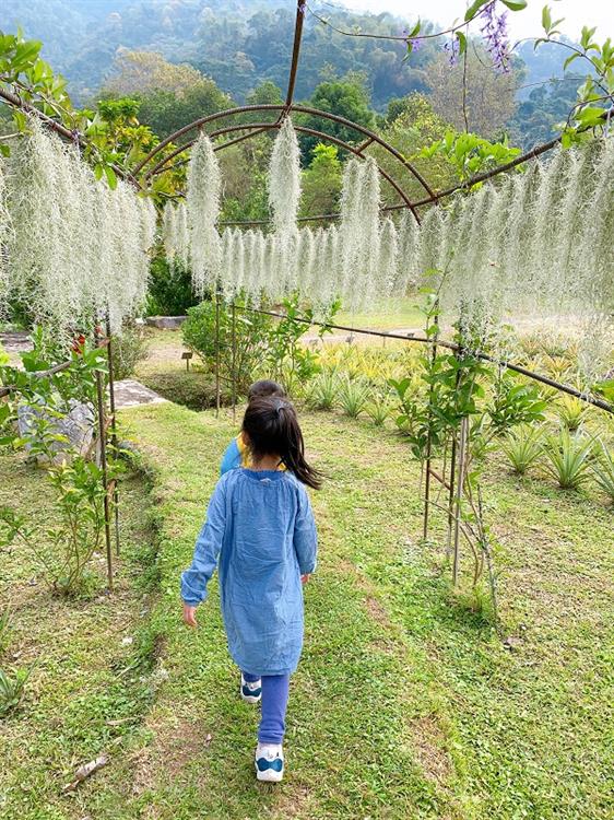 大武山下與自然生態共存的有機鳳梨，銘泉生態休閒農場