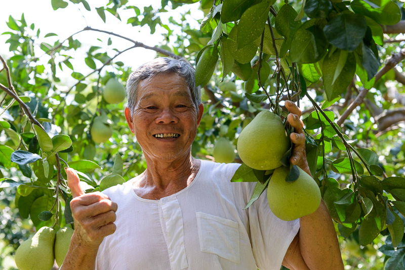 「柚見中秋」（中秋は柚子）苗栗西湖の田園をめぐる旅