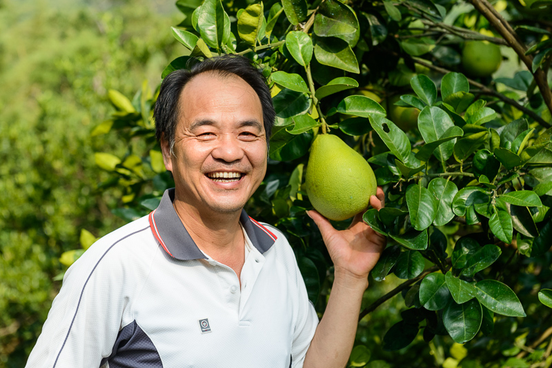 「柚見中秋」（中秋は柚子）苗栗西湖の田園をめぐる旅