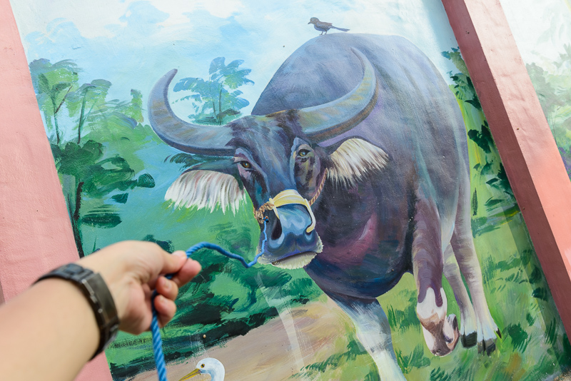 「柚見中秋」（中秋は柚子）苗栗西湖の田園をめぐる旅