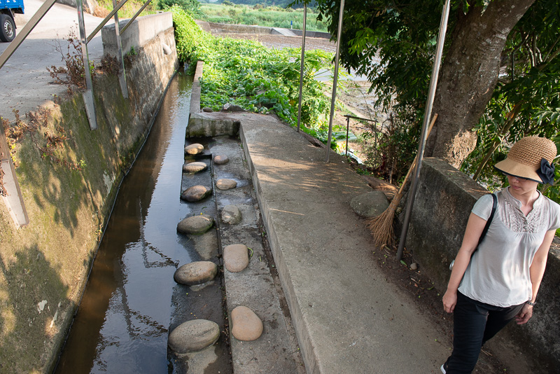 「柚見中秋」（中秋は柚子）苗栗西湖の田園をめぐる旅