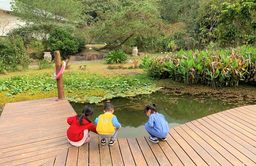 大武山麓で自然の生態系と共存する有機パイナップルの銘泉生態休閒農場