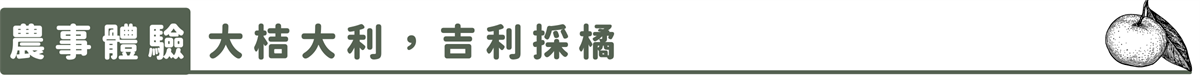 【幸虎走春農遊特別企劃】北部篇：內湖莓好迎春、貓空茶香品茗、新竹十分桔利