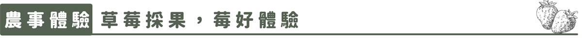 【幸虎走春農遊特別企劃】北部篇：內湖莓好迎春、貓空茶香品茗、新竹十分桔利