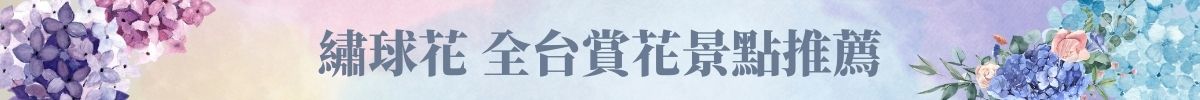 何千本ものアジサイがロマンチックに咲き誇り、初夏の訪れを告げる