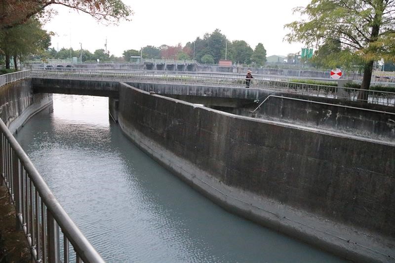 Following Our Footsteps to the Beautiful Scenic Spot with Bald Cypresses in Yunlin