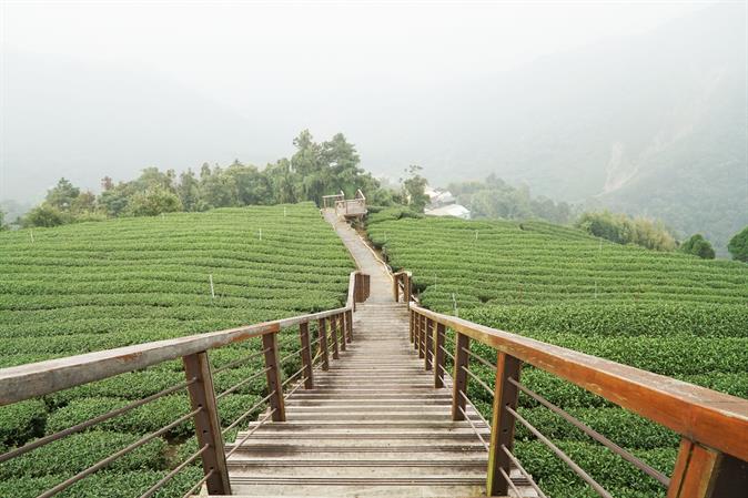 Philosophers in Tea Parties- Ruiefeng Taihe Leisure Agricultural Area