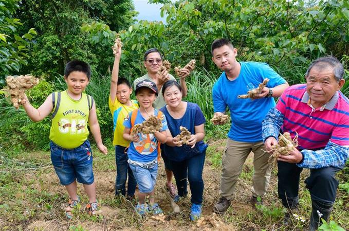 苗栗-薑麻園ツアー