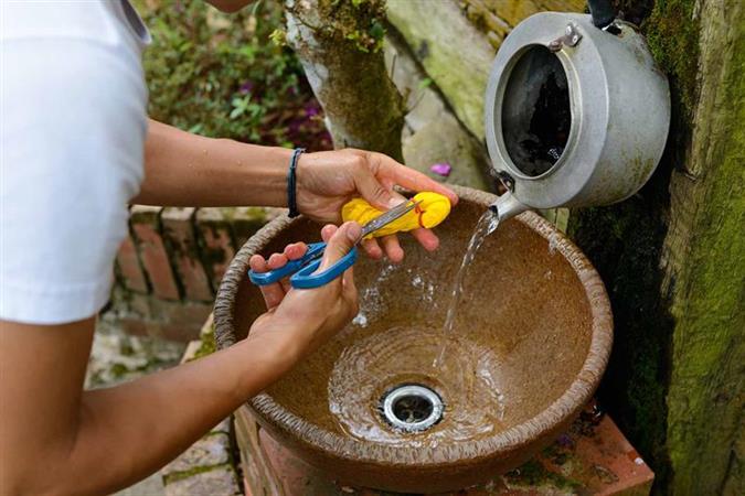 苗栗-薑麻園ツアー