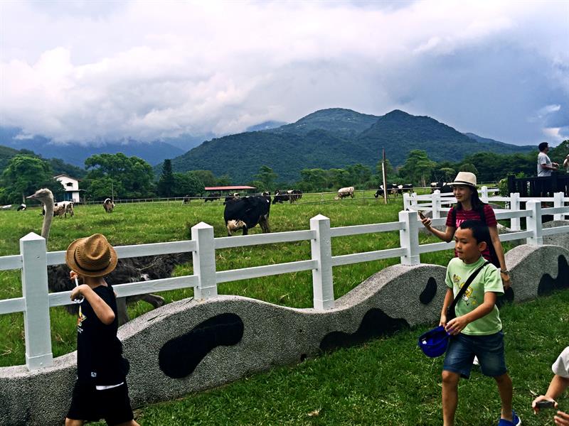 一個人的小旅行 聽海濤逛牧場，走進最真實在地的美好