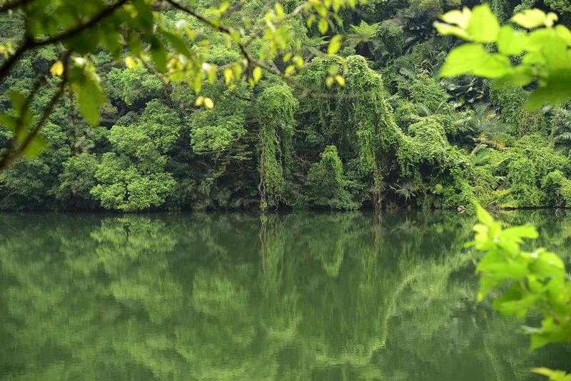 浪漫與原始風貌之旅 大溪就是這麼美