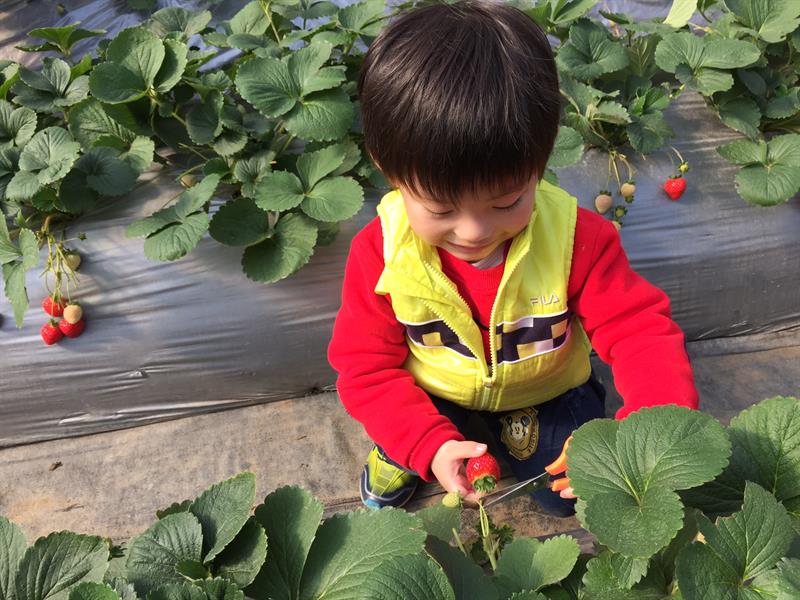 「帶小孩接觸大自然其實沒有那麼困難！」 TVBS主播鄭凱云分享親子農遊樂
