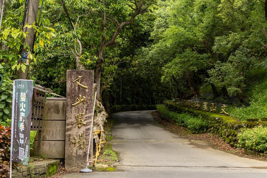 雙北都會區賞螢推薦，搭乘捷運與公車追螢光