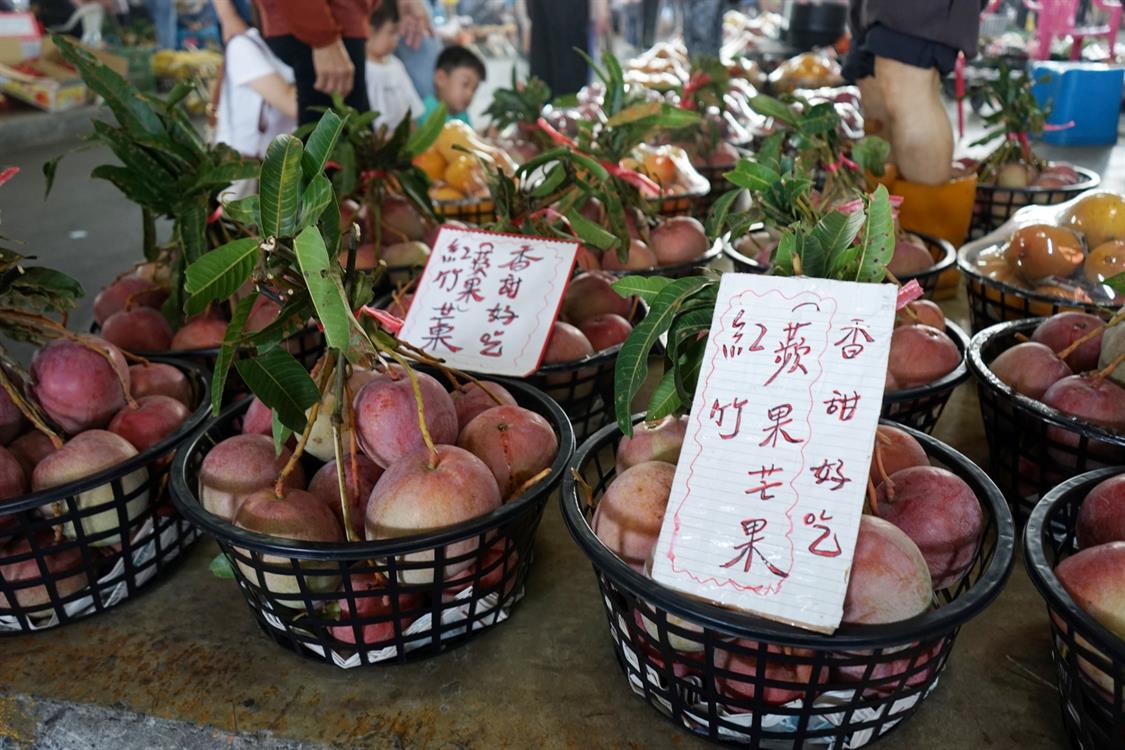 夏天的滋味－玉井芒果小旅行