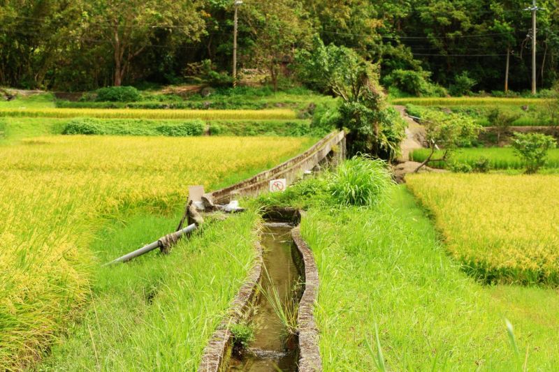 穿梭時空的水道：造訪台灣農村的浮圳設施