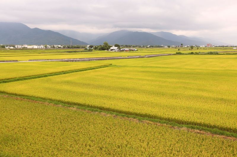 穿梭時空的水道：造訪台灣農村的浮圳設施