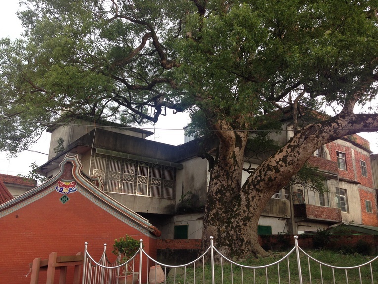 Hakka culture in Hengshan, Hsinchu County Day trip in Dashanbei Agricultural Park