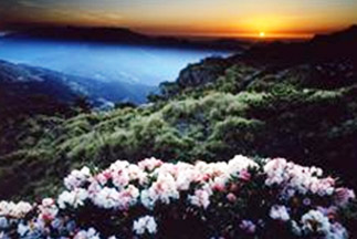 第1日：埔里　第2日：合歓山国家森林遊楽区