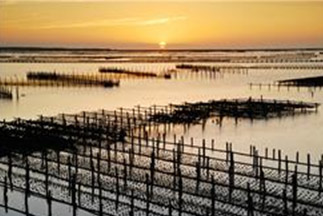 第1日：クロツラヘラサギ生態展示館 -> 七股潟湖 -> 七股塩山 ->台湾塩博物館 -> 南鯤鯓代天府　第2日：台湾烏腳病医療紀念館 -> 北門井仔腳瓦盤塩田 -> 東隆宮王爺信仰文物館