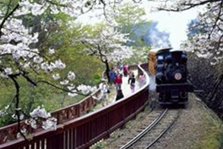 第1日：奮起湖風景区　第2日：阿里山国家森林遊楽区