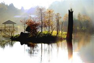 第1日：五峰旗風景特定区 -> 礁渓温泉　第2日：棲蘭森林遊楽区