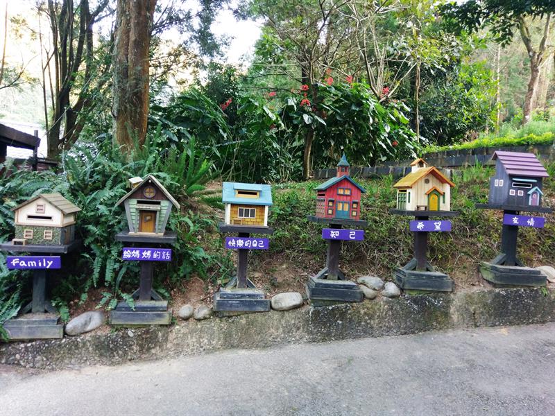 台灣生活慢步調走走：花季來場沐浴花田的旅遊