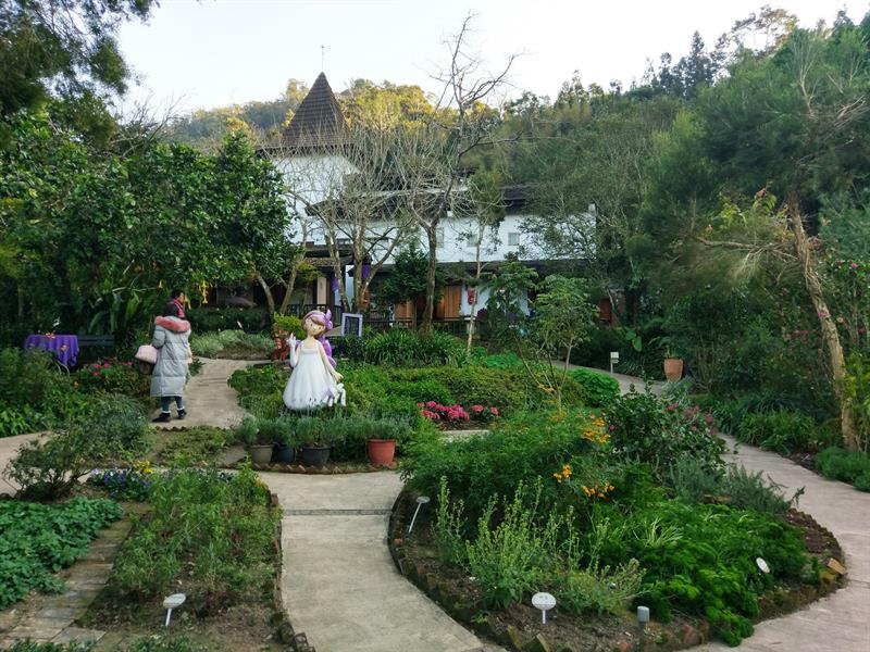 台灣生活慢步調走走：花季來場沐浴花田的旅遊