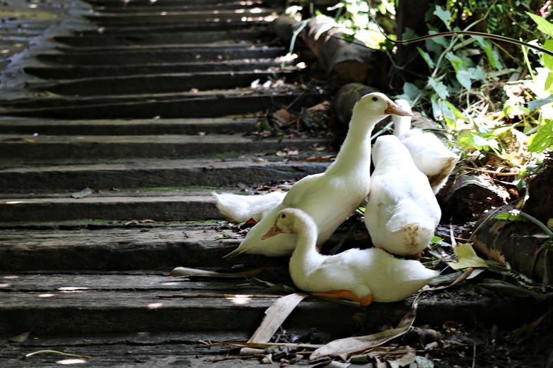 Marketing Farm Culture: New Generation Takes Over the Businesses and Presents Brand New Perspectives