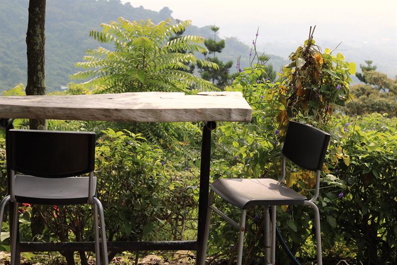 Marketing Farm Culture: New Generation Takes Over the Businesses and Presents Brand New Perspectives