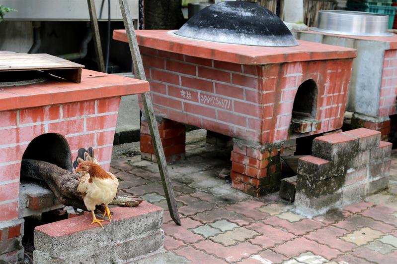 Marketing Farm Culture: New Generation Takes Over the Businesses and Presents Brand New Perspectives