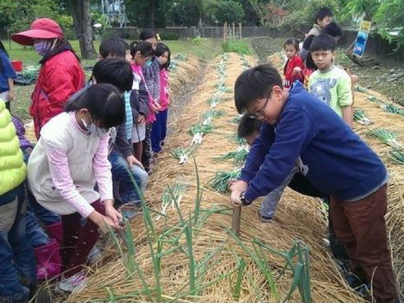 東部戶外教學地點推薦