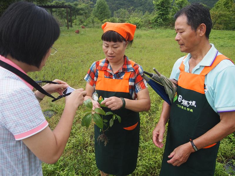 Beautiful Lanyang Scenery  A farm feast and an educational agro-tour