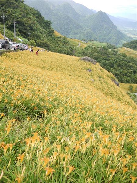 A sensory trip to Hualien: Strolling in the Floral Sea and Enjoying the Happiness of an Organic Life