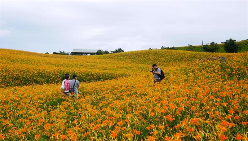 A sensory trip to Hualien: Strolling in the Floral Sea and Enjoying the Happiness of an Organic Life