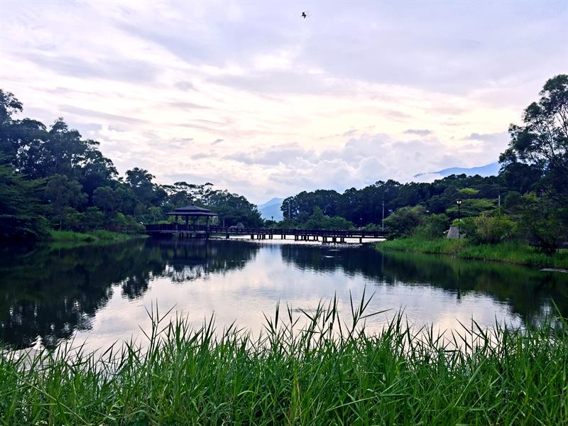 A sensory trip to Hualien: Strolling in the Floral Sea and Enjoying the Happiness of an Organic Life