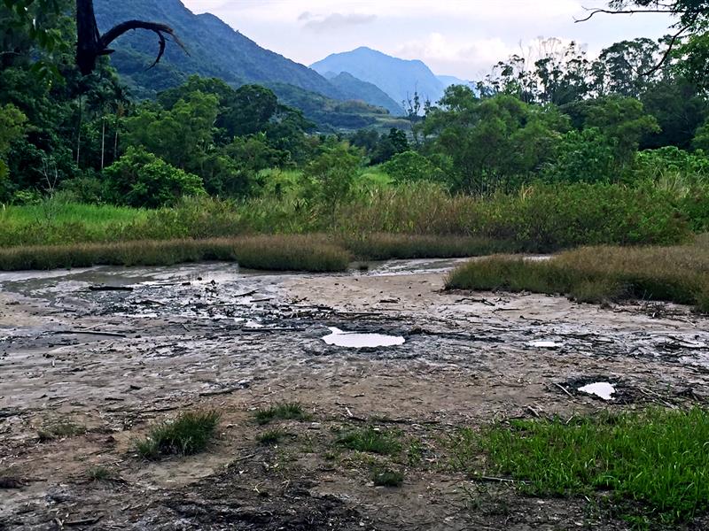 A sensory trip to Hualien: Strolling in the Floral Sea and Enjoying the Happiness of an Organic Life