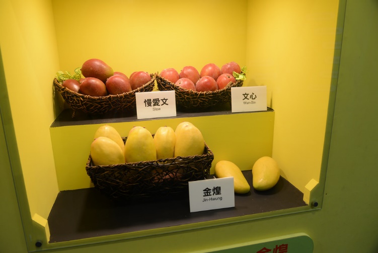 Summer Agro-Tour News! The right time to taste sweet and juicy mangos in southern Taiwan