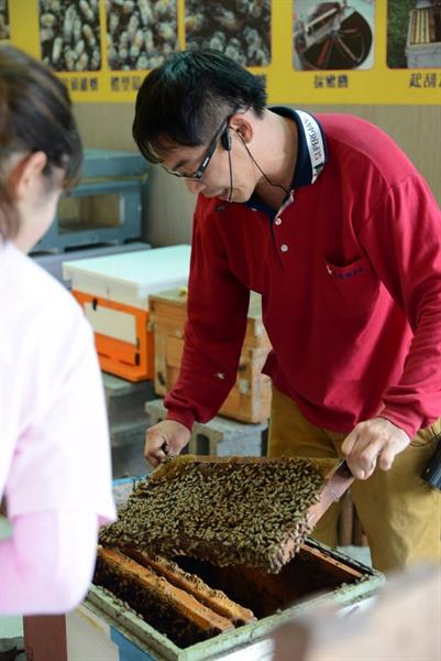 Summer Agro-Tour News! The right time to taste sweet and juicy mangos in southern Taiwan