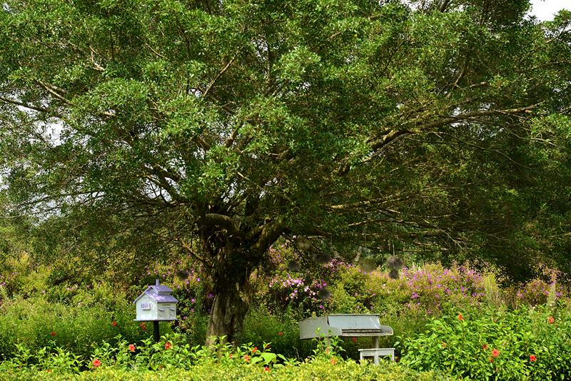 A Trip with Romantic and Pristine Views  Daxi is so beautiful