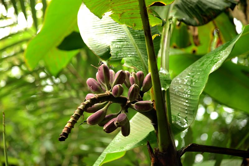 A Trip with Romantic and Pristine Views  Daxi is so beautiful