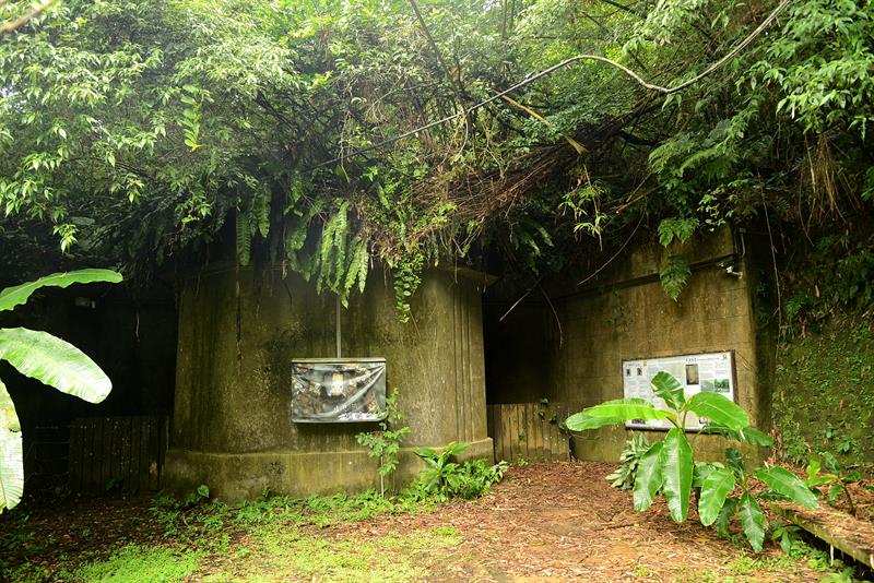 A Trip with Romantic and Pristine Views  Daxi is so beautiful